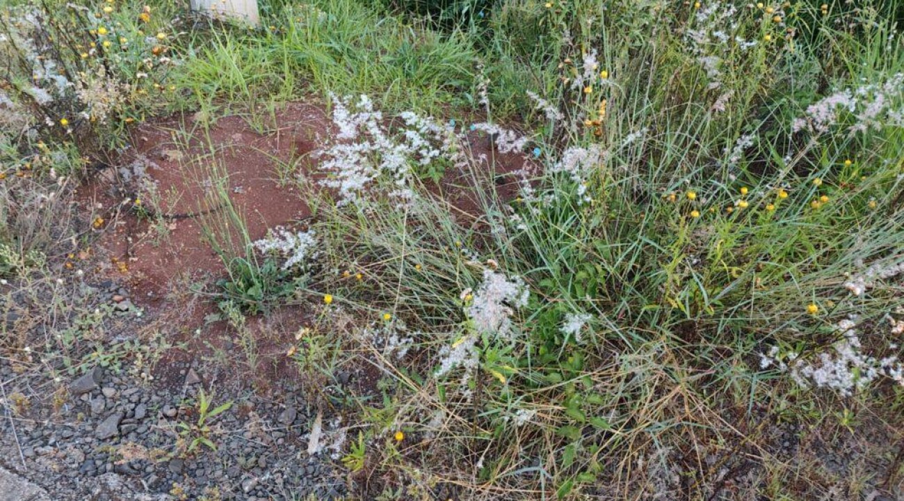 Corpo é encontrado no Contorno Viário de Chapecó