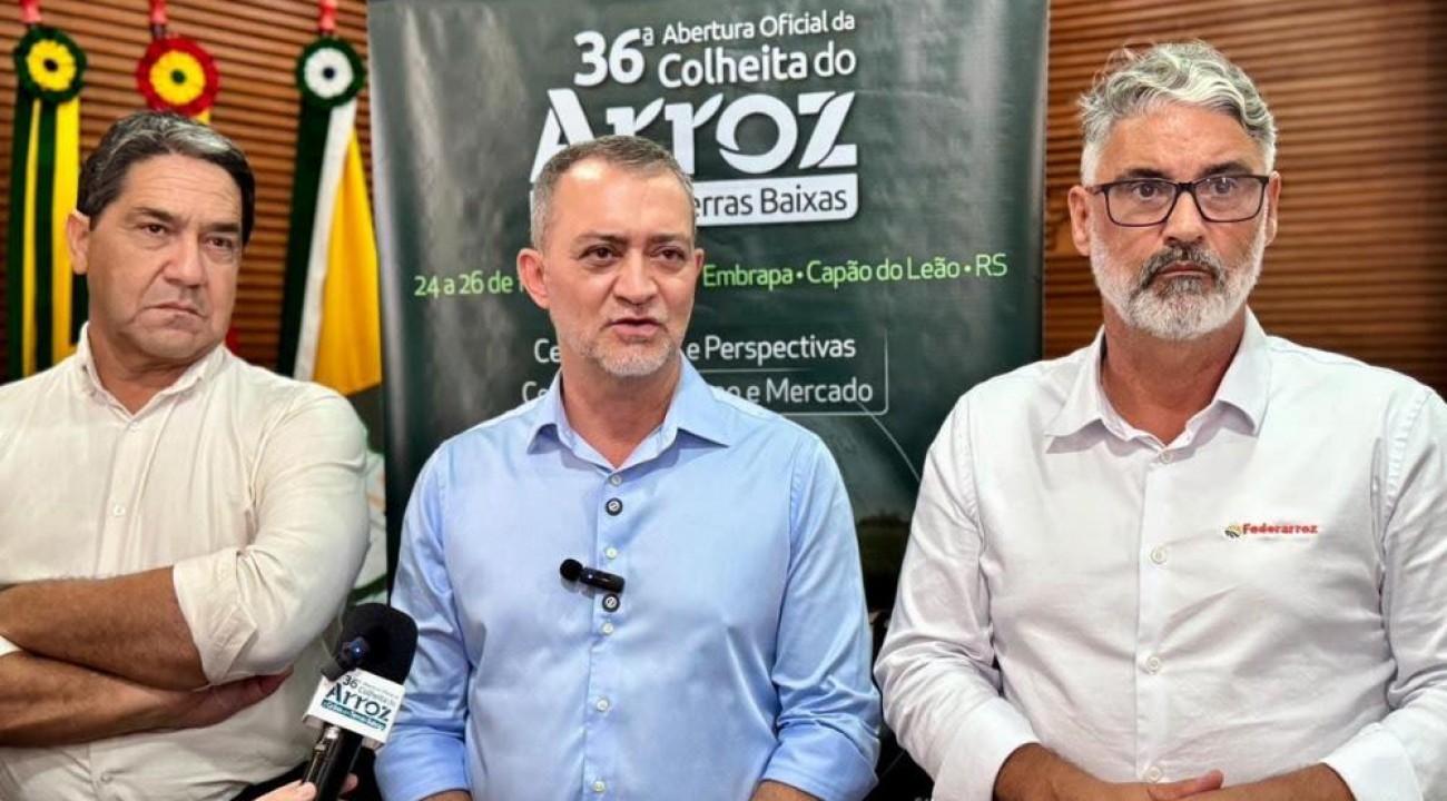 Conab anuncia mais R$ 73,6 milhões para apoiar produtores de arroz