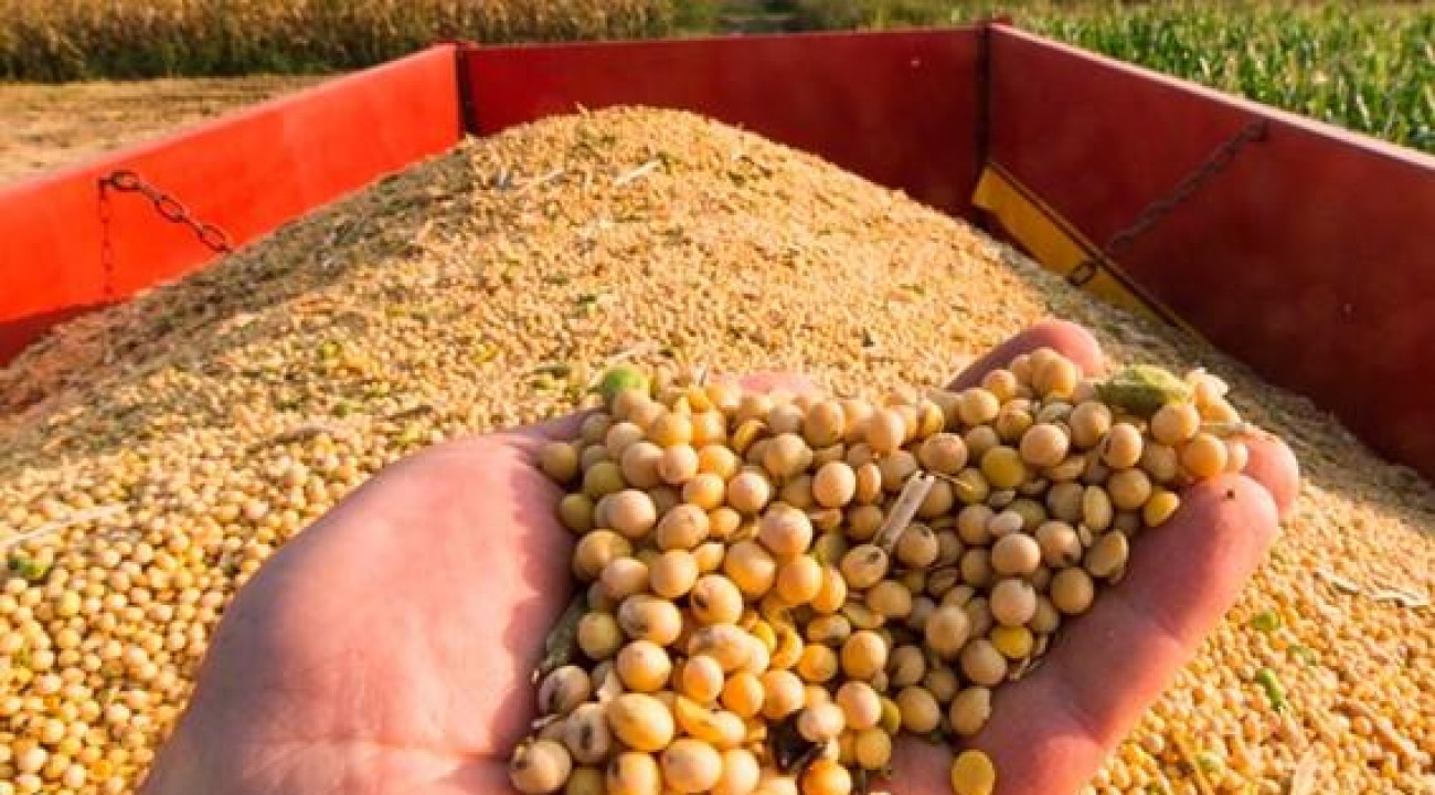 Conab estima safra de grãos em 356,3 milhões de toneladas em 2025/26