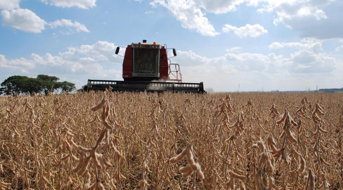 Produção de grãos pode chegar a 358,6 milhões de toneladas no Brasil