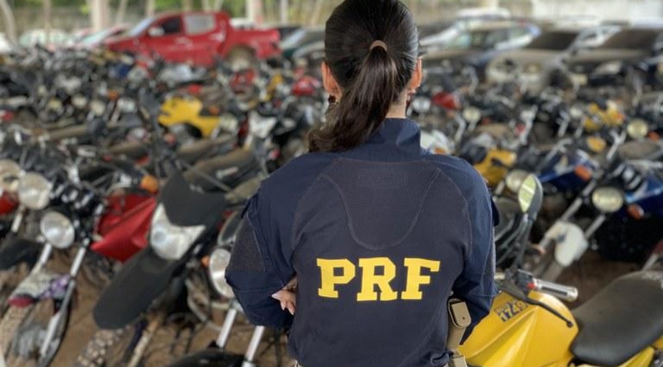 PRF realiza leilão com 647 veículos apreendidos em Santa Catarina