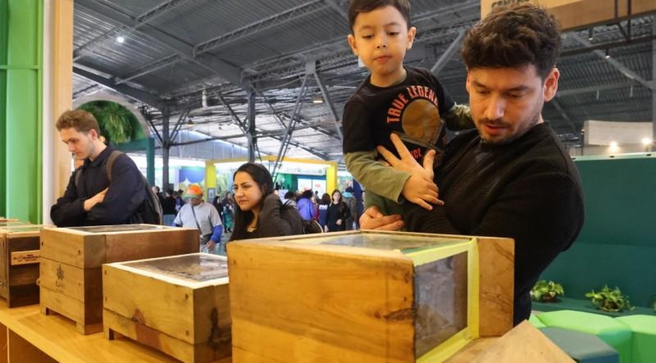Abelhas nativas do RS despertam a curiosidade do público na Expointer