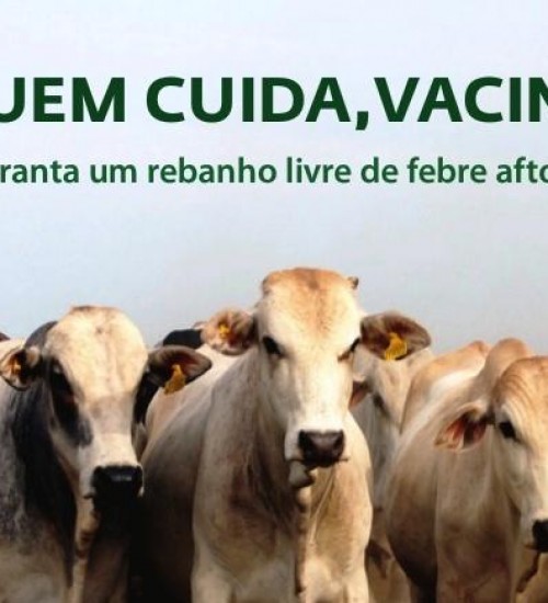 Vacinação contra aftosa no Rio Grande do Sul é prorrogada até 24 de abril.
