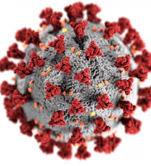 Em 24h, Chapecó registra 50 novos casos confirmados de coronavírus.