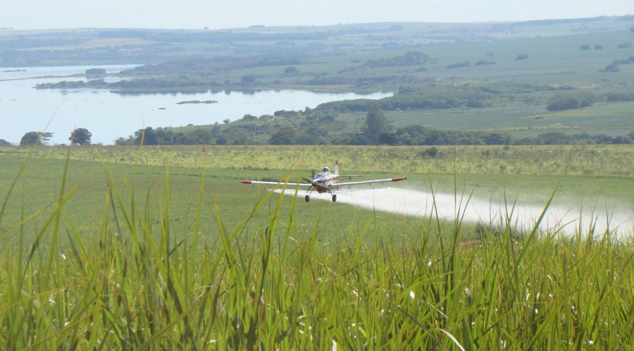 Aviação agrícola do Brasil se mobiliza para combater gafanhotos.