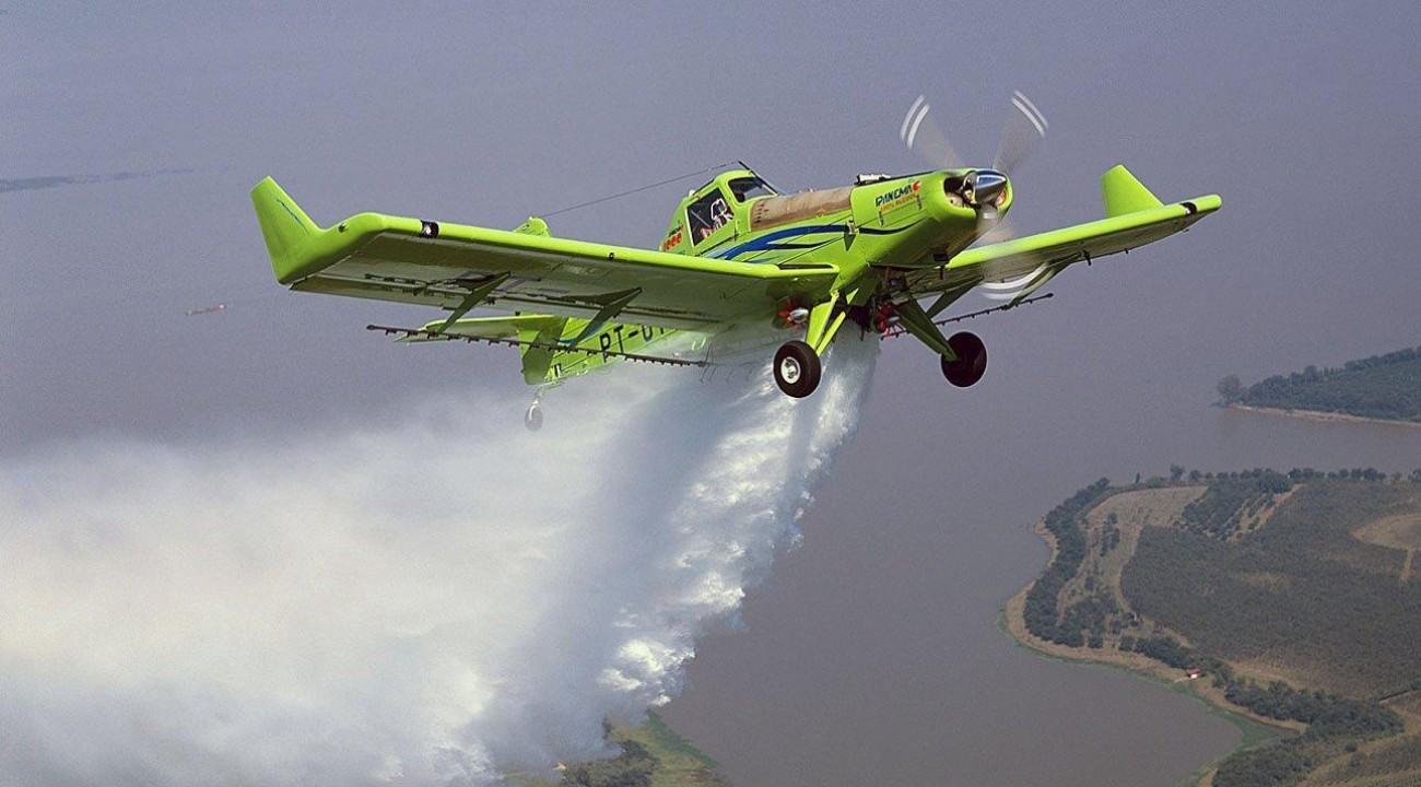 400 aviões disponíveis no RS para conter nuvem de gafanhotos.