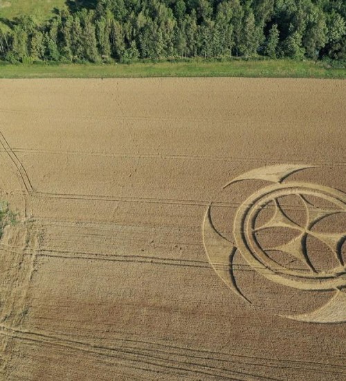 Símbolo gigantesco em campo de trigo atrai atenção de curiosos na França.
