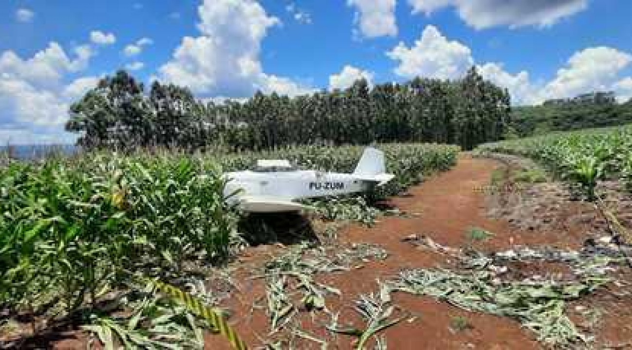 Avião faz pouso forçado em lavoura de milho em Concórdia (SC).