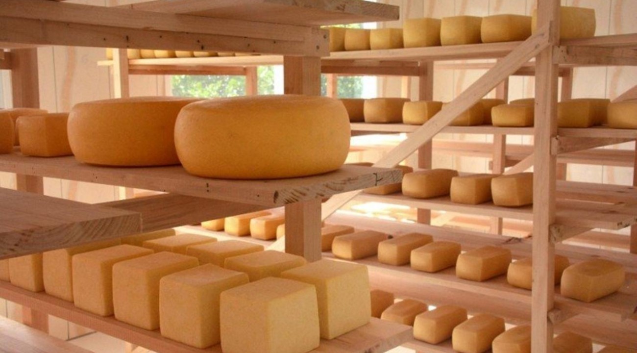 Produtores de queijo artesanal podem aderir ao selo arte e comercializar o produto.