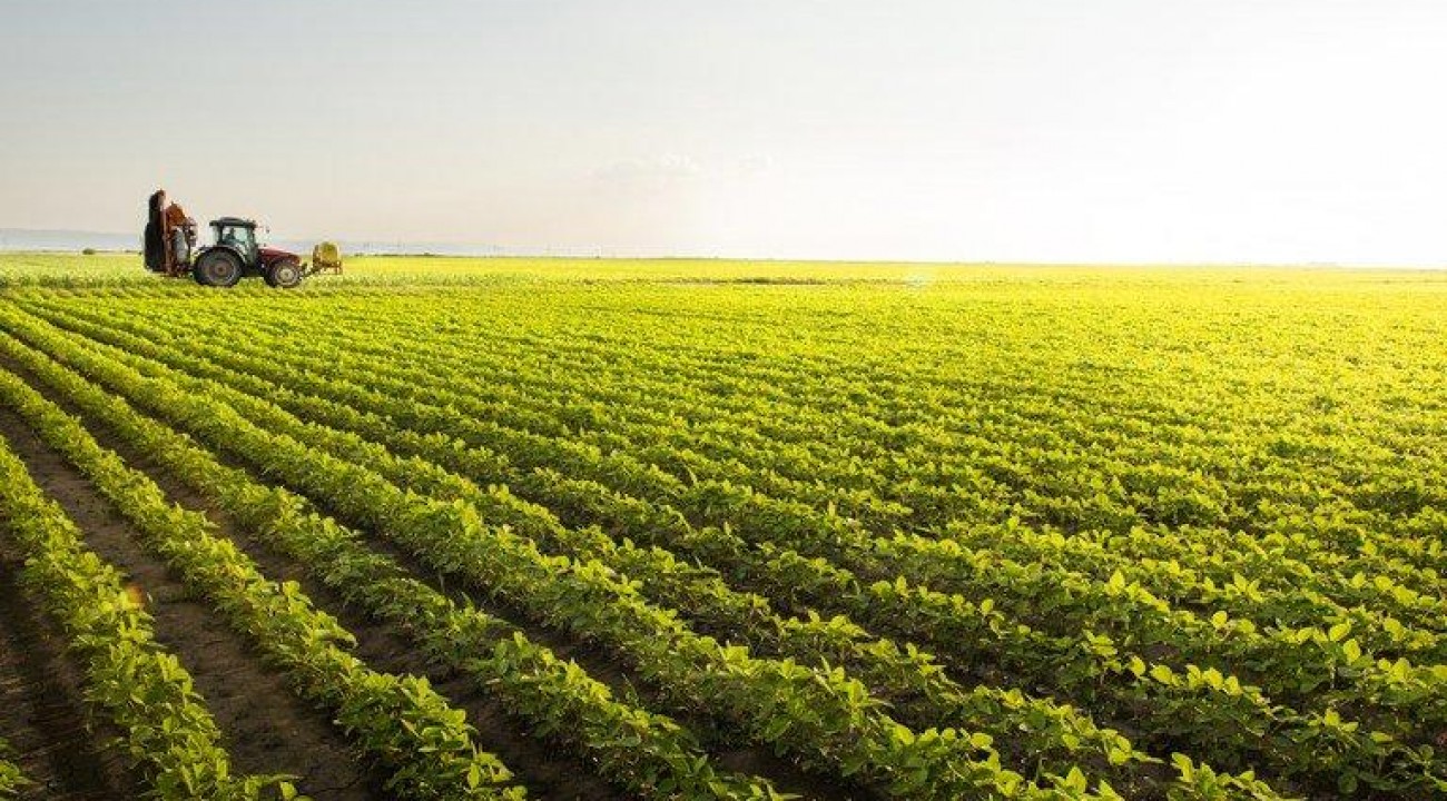 Exportações do agronegócio gaúcho registram alta de 42% no segundo trimestre de 2021.