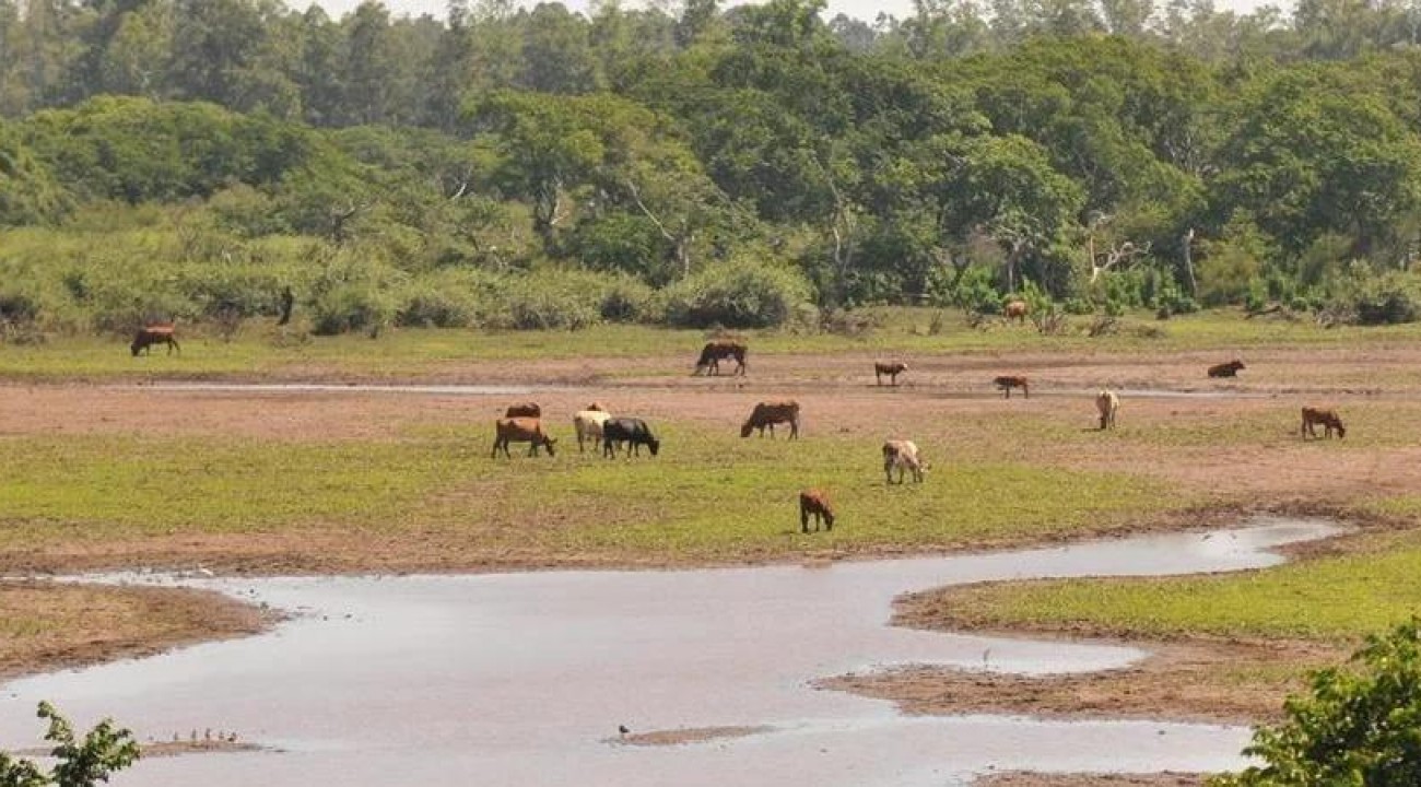 Previsão do tempo para os próximos dias reforça estiagem no Rio Grande do Sul
